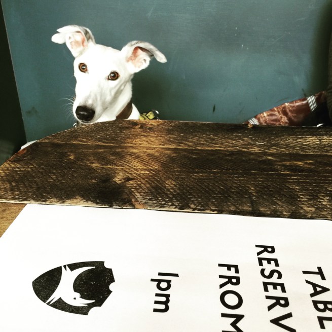 Ready for food! Brewdog is dog-friendly and the staff are great!